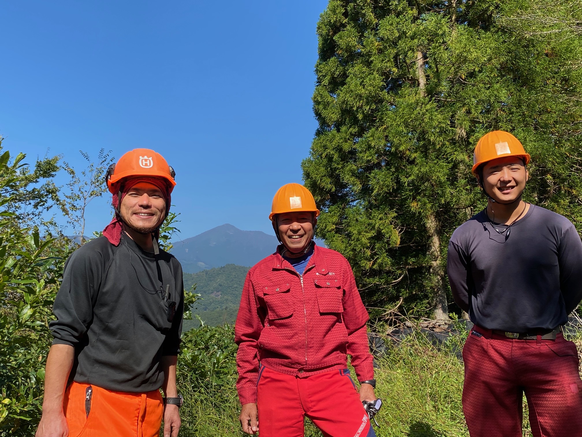 株式会社ハマテックの作業風景 Hinata De Ringyo ひなたで林業